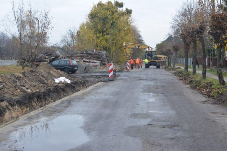Gmina odda bezpłatnie karpy