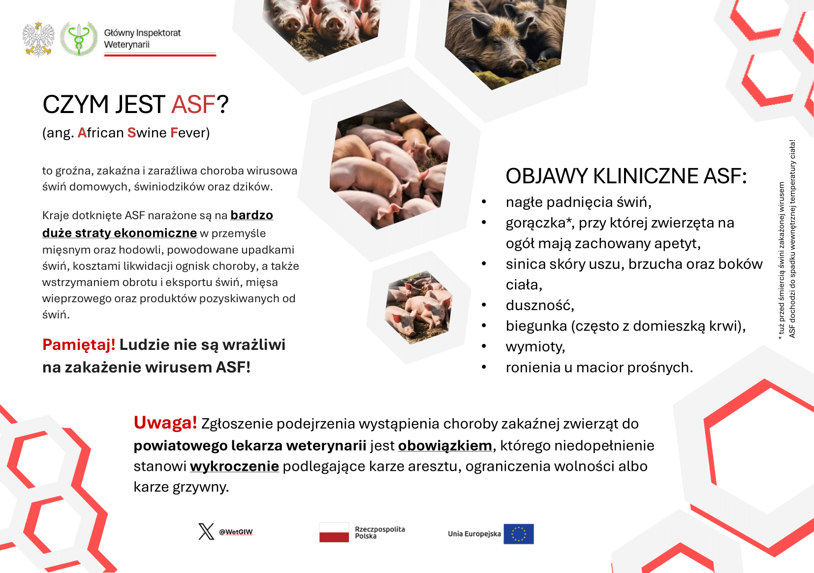Informacja – Afrykański Pomór Świń