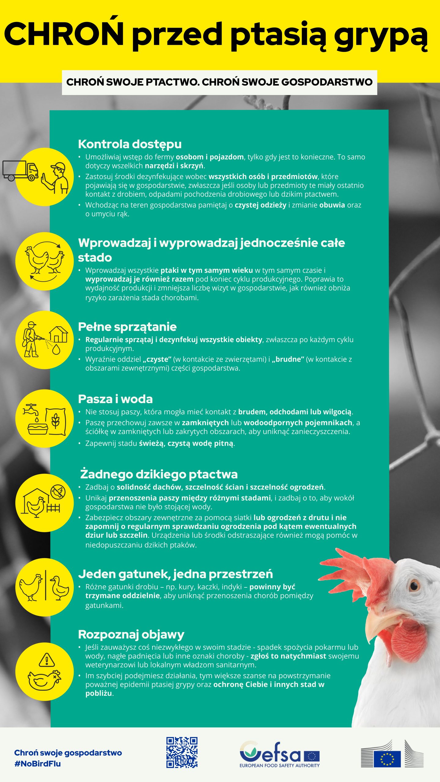 Chroń przed ptasią grypą – komunikat Powiatowego Lekarza Weterynarii